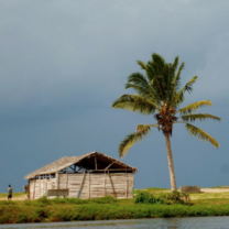 Madagascar Semester: Cultural & Ecological Diversity