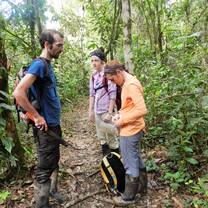 Volunteers in the Amazonian rain-forest