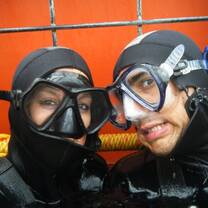 Cage Diving South Africa
