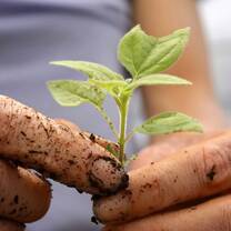 Volunteer in Ecuador with UBELONG - best reviews! Go: ubelong.org