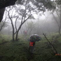 Trekking