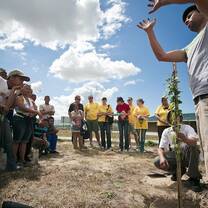 Volunteers in tree workshop in South Africa