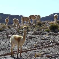 Argentina: Community Service & The Great Outdoors