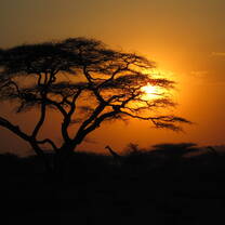 Tanzania: African Cultures & Landscapes 