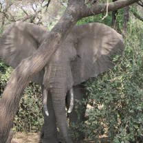 Tanzania: African Cultures & Landscapes 