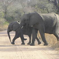 South Africa: Leadership & Social Change
