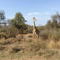 South Africa: Leadership & Social Change