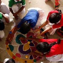 India: Health Care & Traditional Medicine 