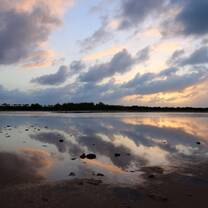 The Salinas 