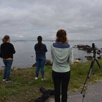 Field Work