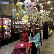 Discover modern Art and Culture with Metrocultura