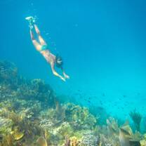 Free diving in one of abaco's protected reefs