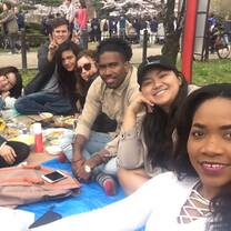 people having a picnic on grass