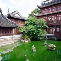 Day trip to Confucius Temple - Absolute Internship Shanghai