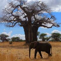 East Africa Programs | Operation Groundswell