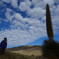 Get Paid to Teach English in Peru with TEFL Certification