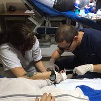 Ecuador Quito Premed