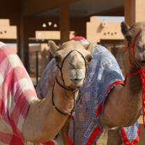 Get TEFL Certified & Save $12,000+ per year teaching English in the UAE