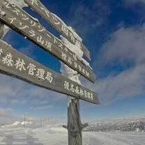 Japan skiing 