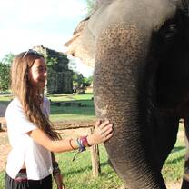 Spend time with elephants at a sanctuary in the mountains
