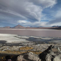 Landscape view