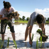 Thailand Summer: Sustainability and Spirituality in the Land of Smiles