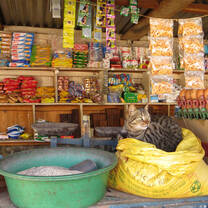 Madagascar: Island of Diversity