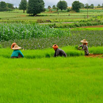 Myanmar: Visions of Democracy 