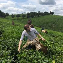 Cultural immersion