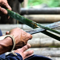 Thailand Summer: Sustainability and Spirituality in the Land of Smiles