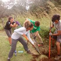 Digging in the National Park 