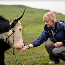 Nomadic life in Tibet.