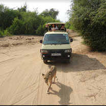 Safari in the Samburu game reserve.