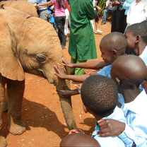 Visiting an elephant preserve.
