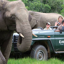 Elephant sighting on game drive, Kariega Game Reserve