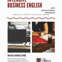 Intensive Business English