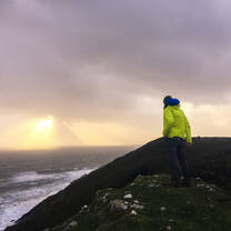 Gower