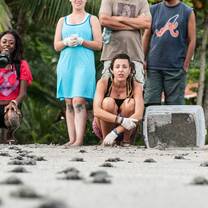 volunteers near turtle