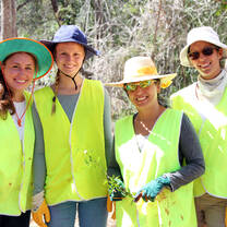 Volunteer in Australia with Volunteering Solution