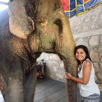 Volunteer in India with VolSol1