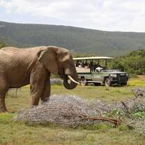 Wildlife monitoring at Shamwari Game Reserve