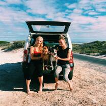 walks on the beach with the dogs