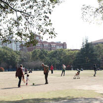 Shanghai University campus