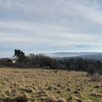 Swansea Pic