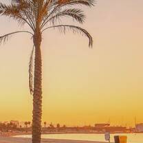 sunset at the beach