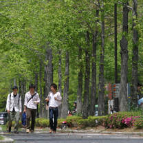 Study Abroad in Hiroshima, Japan, with USAC