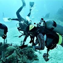 men and women swimming under the blue ocean with the corals