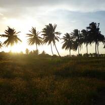 Sunrise on Shell Beach
