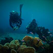 Diving