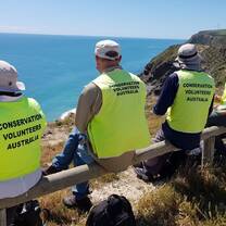 Adelaide Volunteers